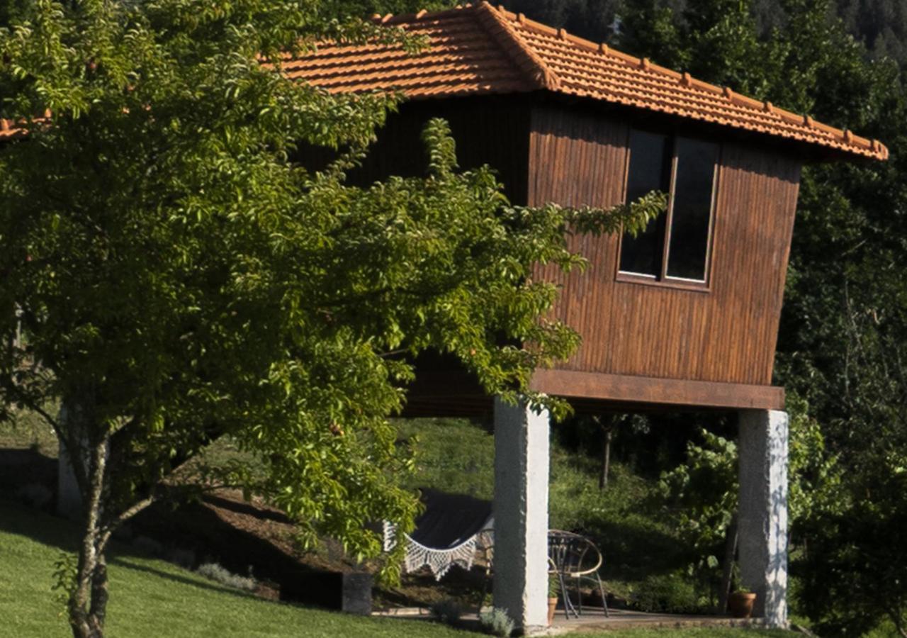 Cimo Da Vinha - Nature Spot Castelo de Paiva Zewnętrze zdjęcie