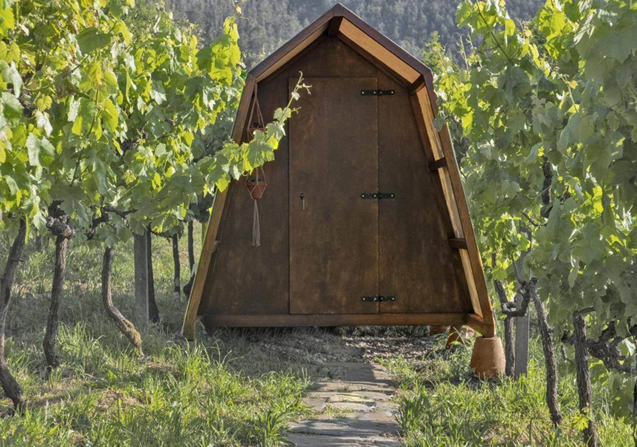 Cimo Da Vinha - Nature Spot Castelo de Paiva Zewnętrze zdjęcie